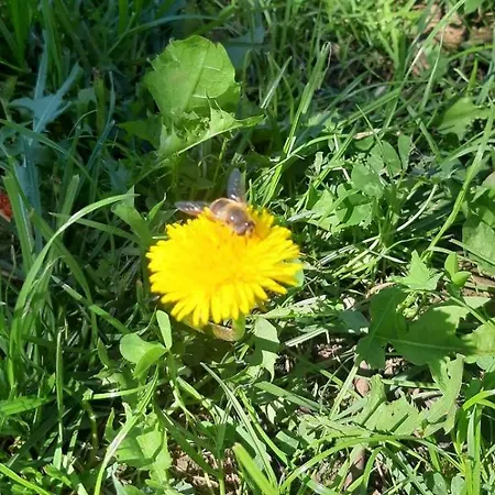 Apartament By Didi 4u2stay Sarajewo