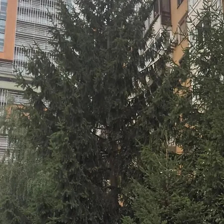 Apartament By Didi 4u2stay *