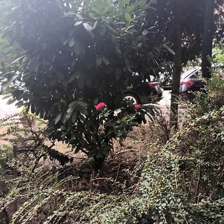 By Didi 4u2stay Apartman