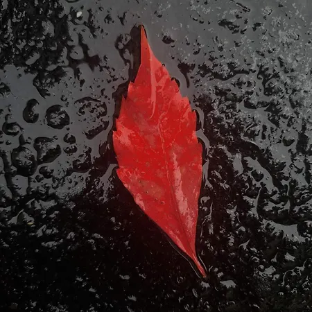 By Didi 4u2stay Apartament